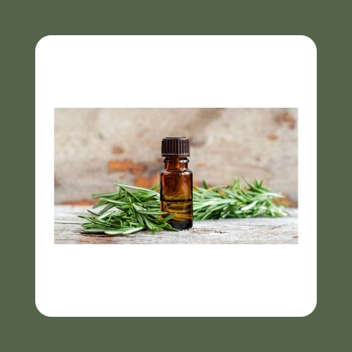 Rosemary Oil