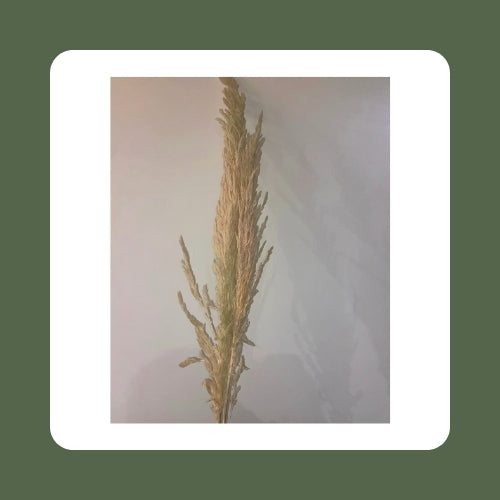 Natural Flower Bouquet A