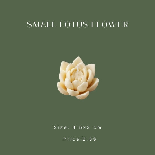 Small Lotus Flower