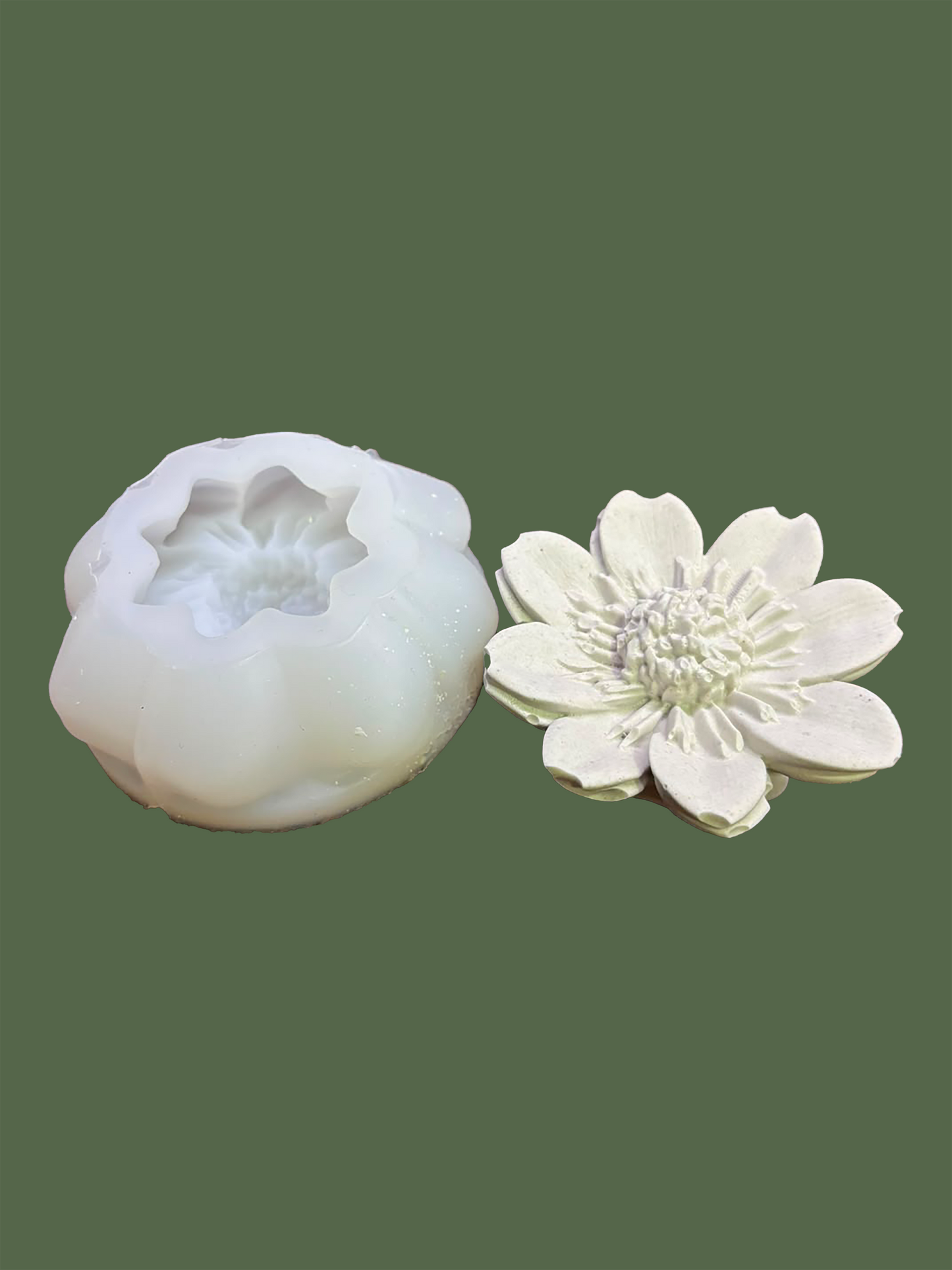 Anemone Flower