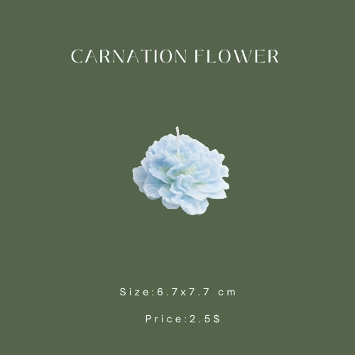 Carnation Flower