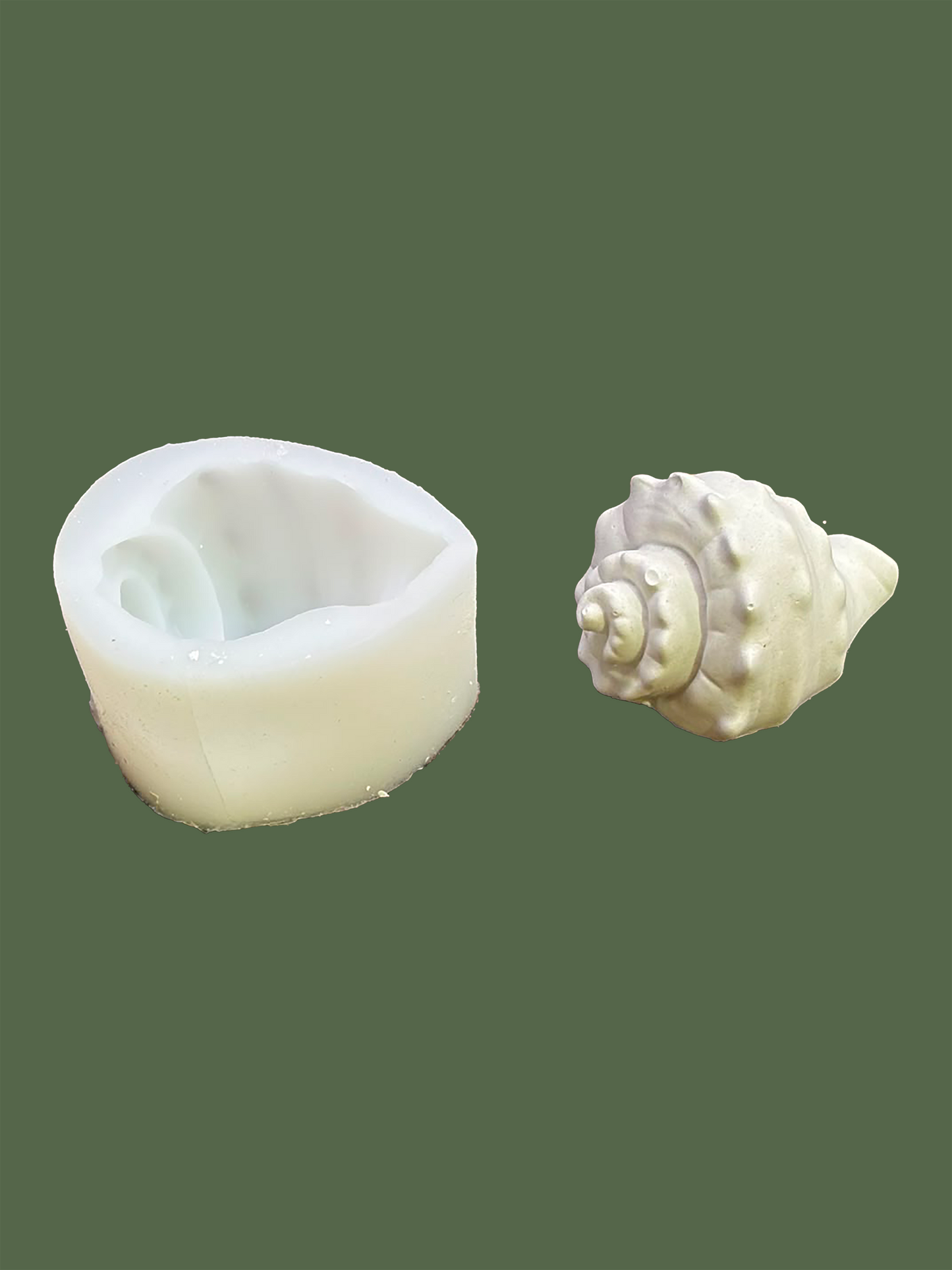 Seashell