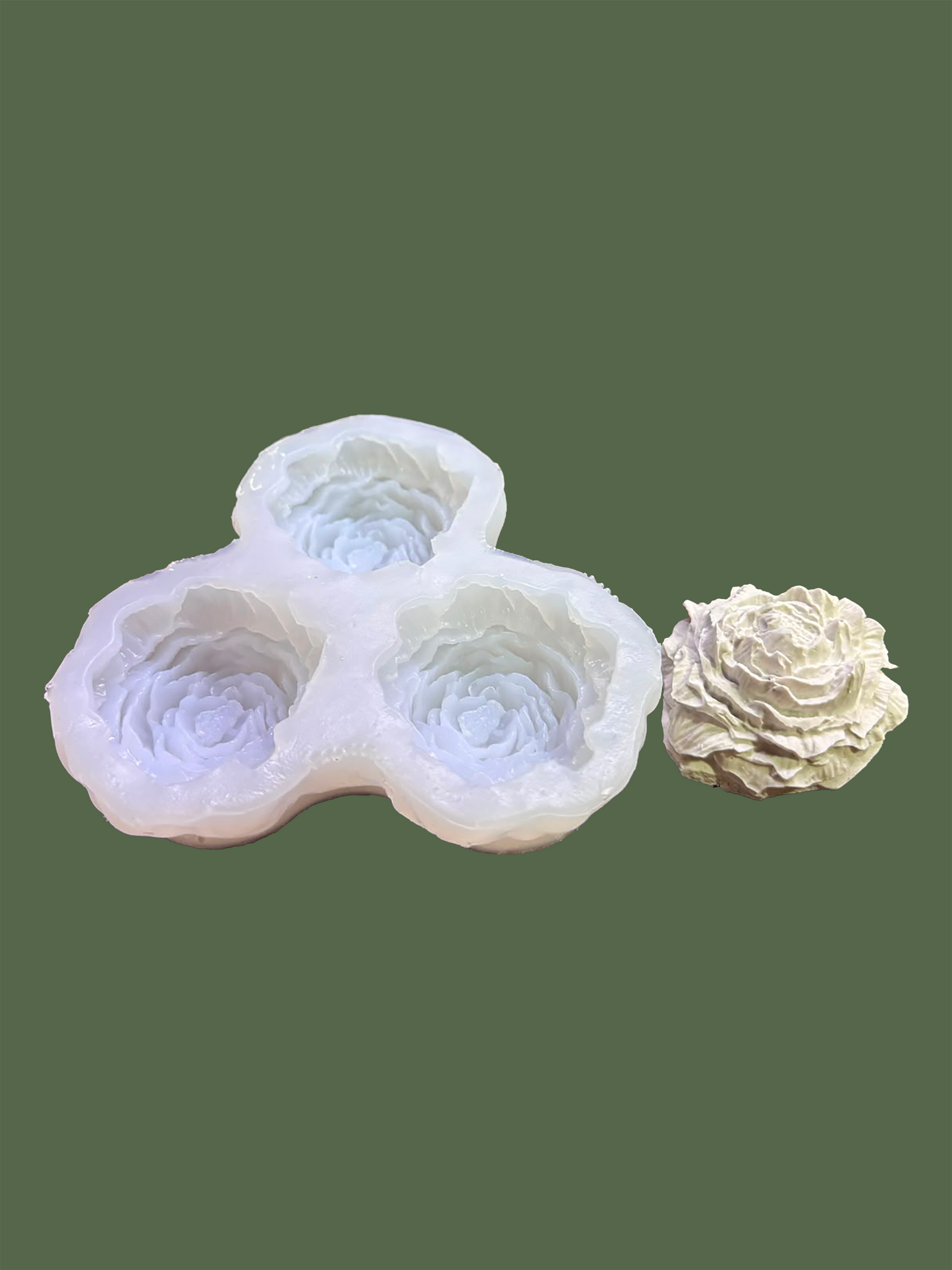 Three Peony Flowers