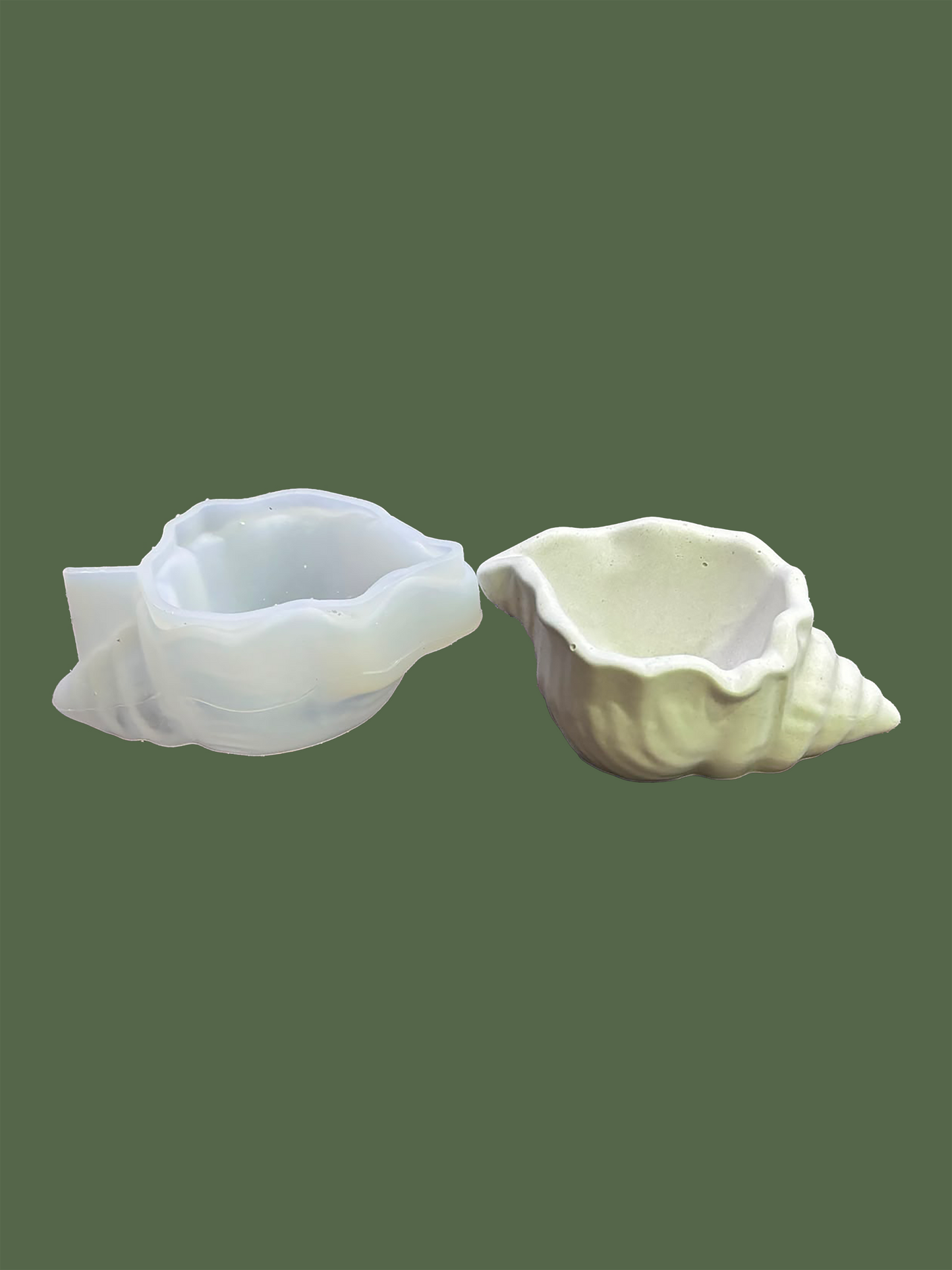 Conch 2
