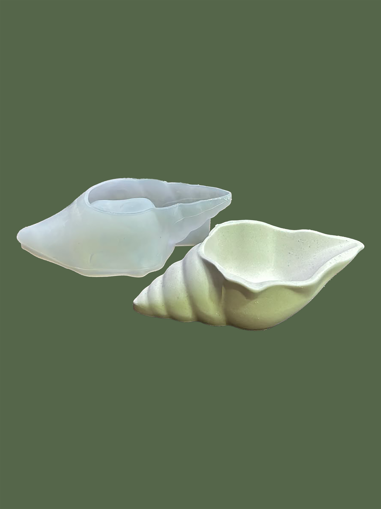 Conch 3