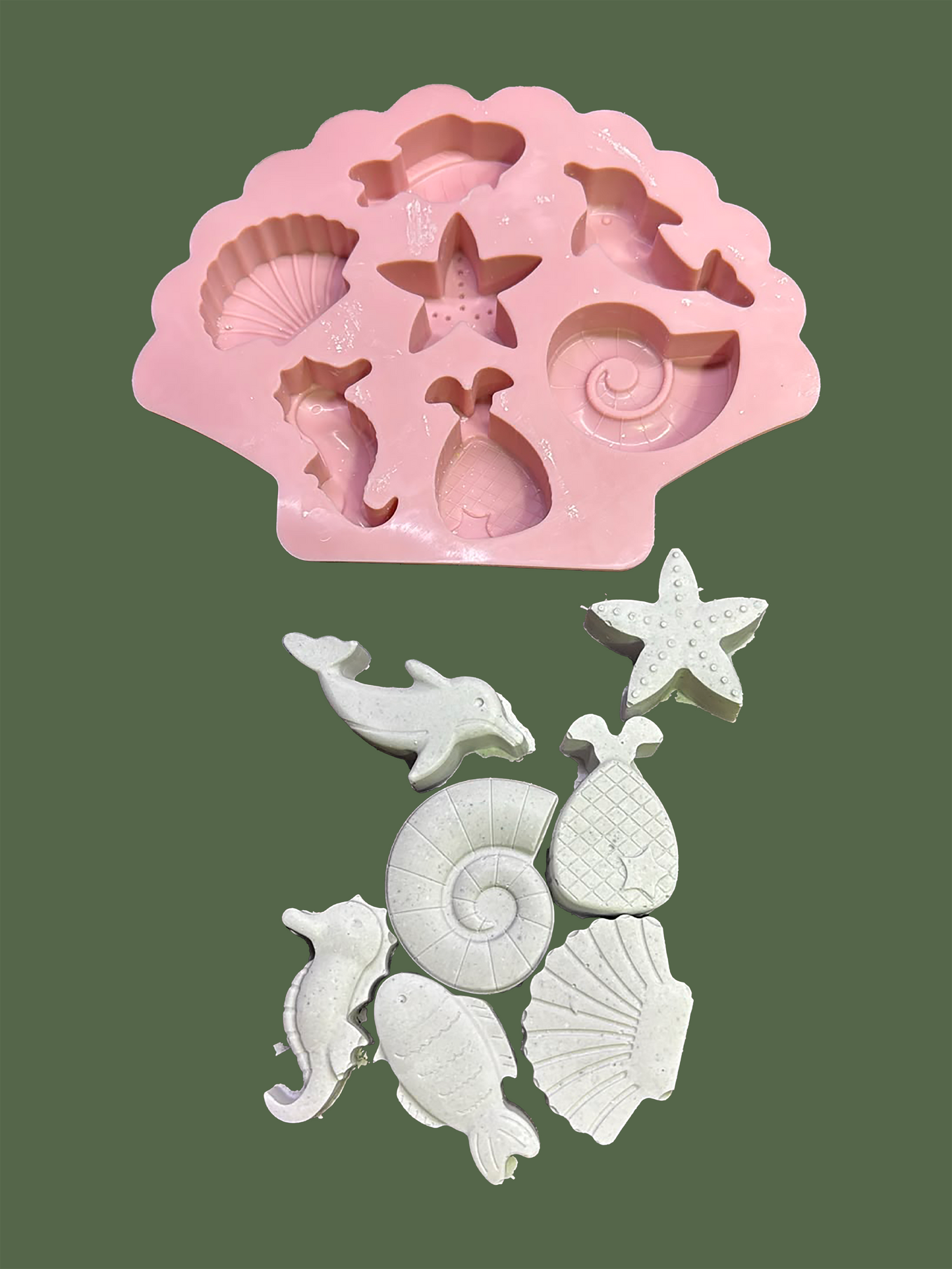 Sea Life