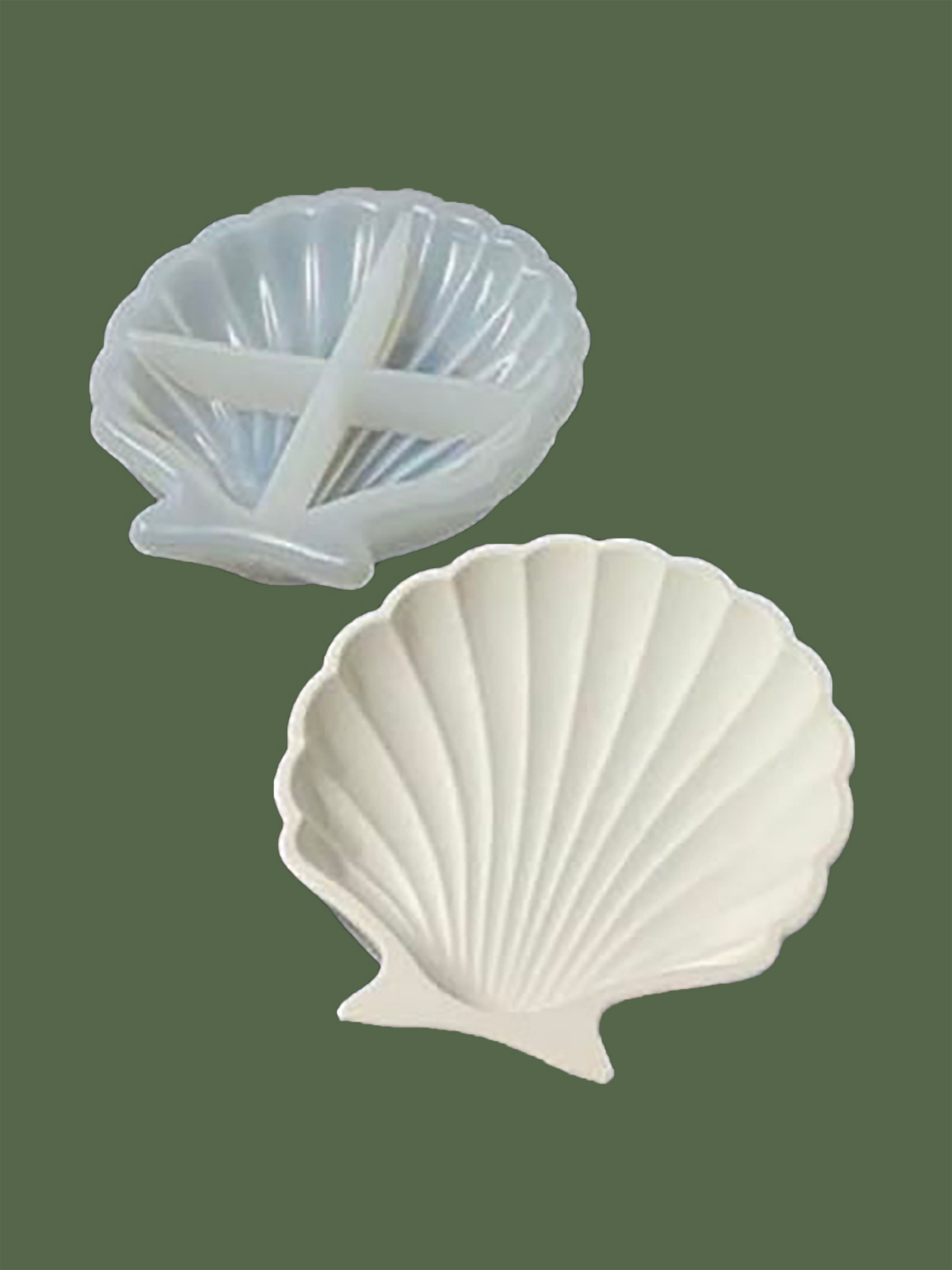 Shell Coaster