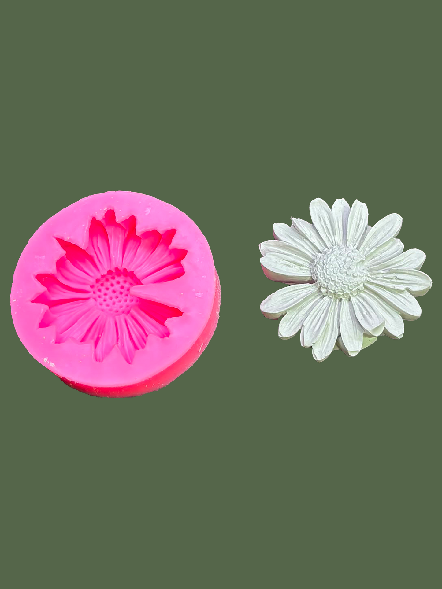 Daisy Flower
