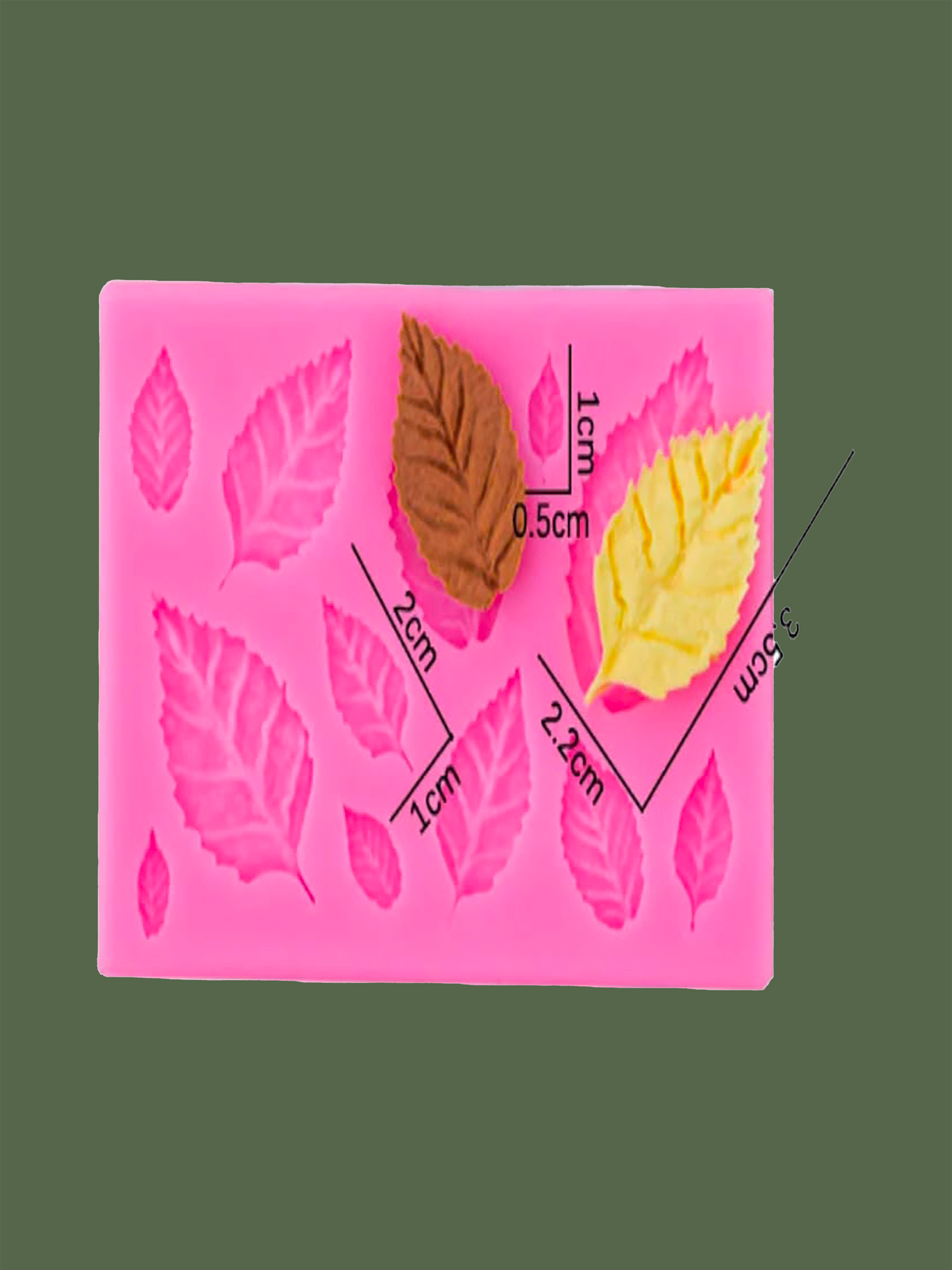 Leaves