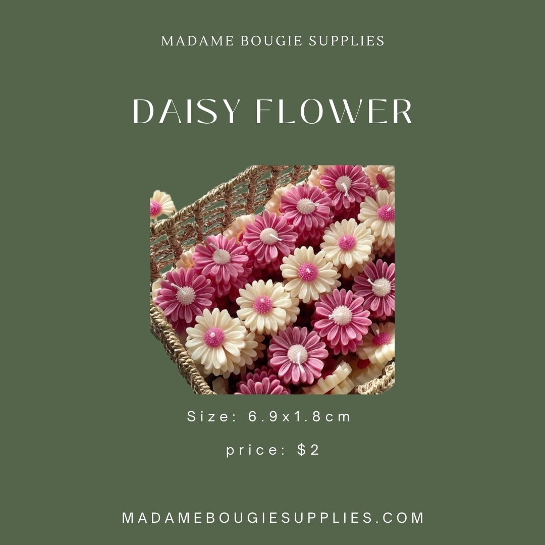 Daisy Flower