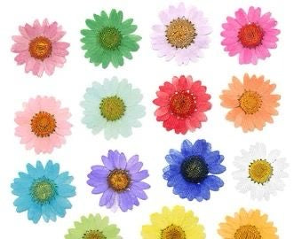 Dried flower sheets