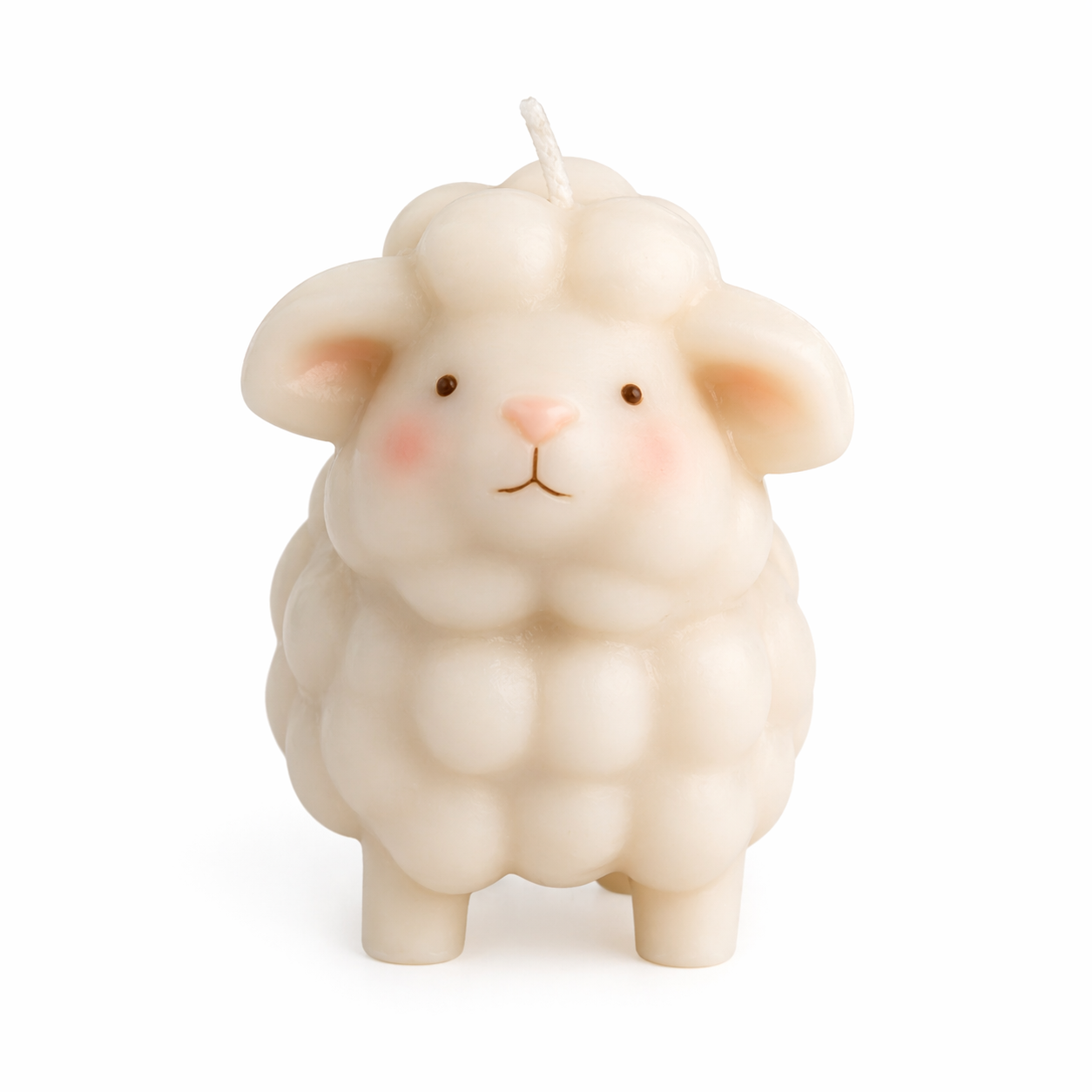 Cute Sheep