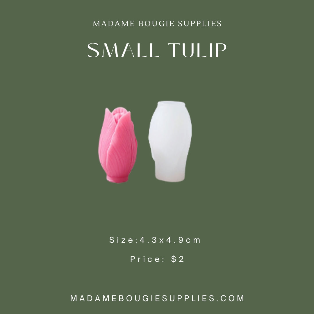 Small Tulip