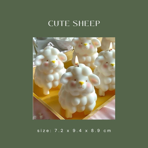 Cute sheep