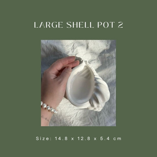 Large Shell Pot 2