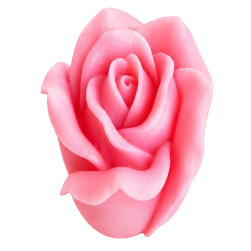 Curved Petal Flower