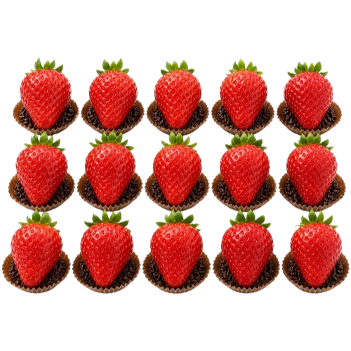 Strawberries 15 Cavities (Large)