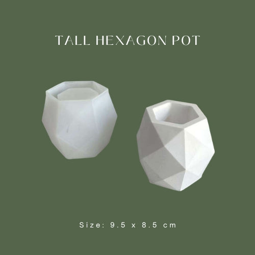 Tall Hexagon Pot