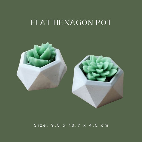Flat Hexagon Pot