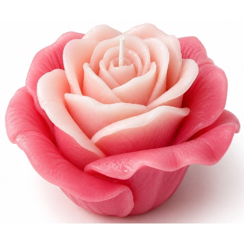 Majestic Bloom Rose