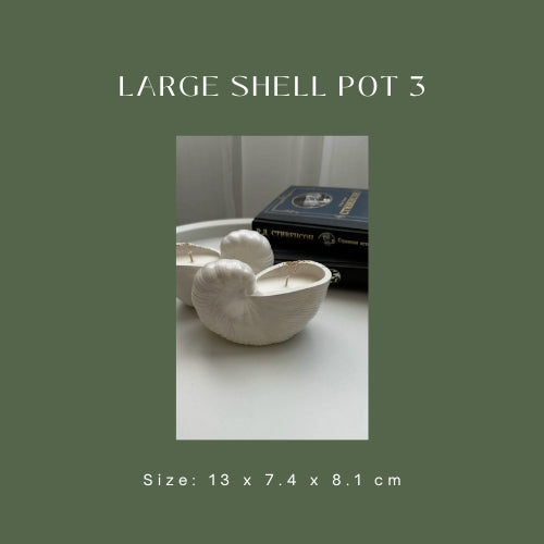 Large Shell Pot 3