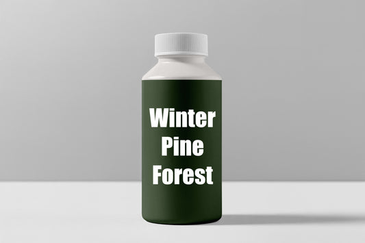 Winter Pine Forest