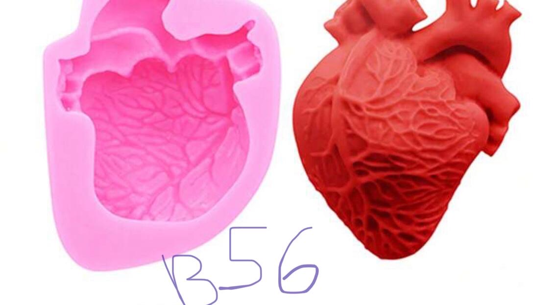 B56