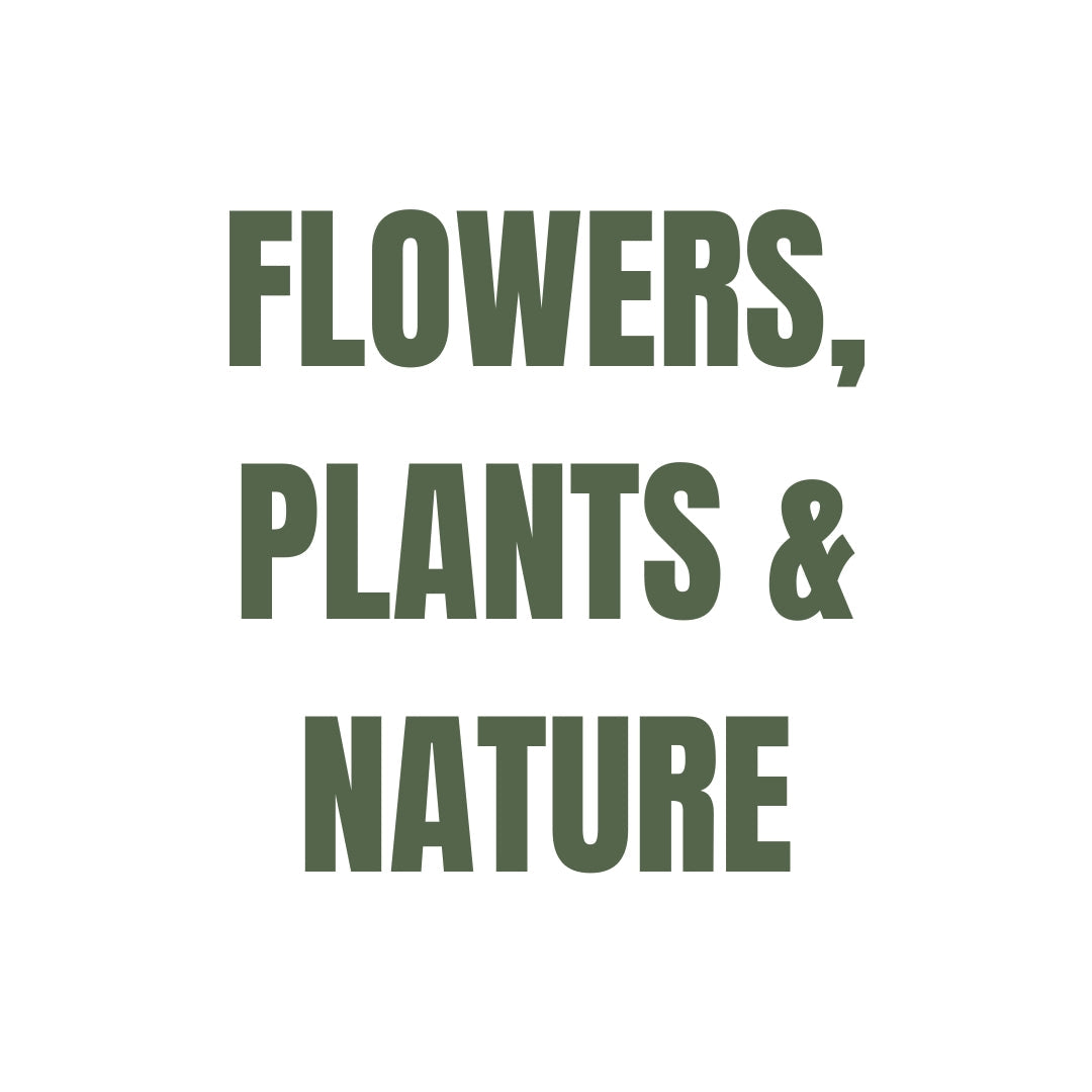 Flowers, Plants & Nature