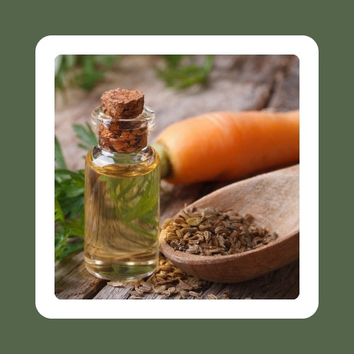 Carrot Infused Oil
