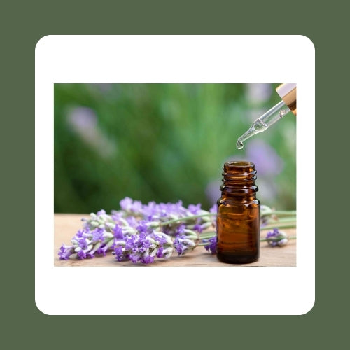 Lavender Oil