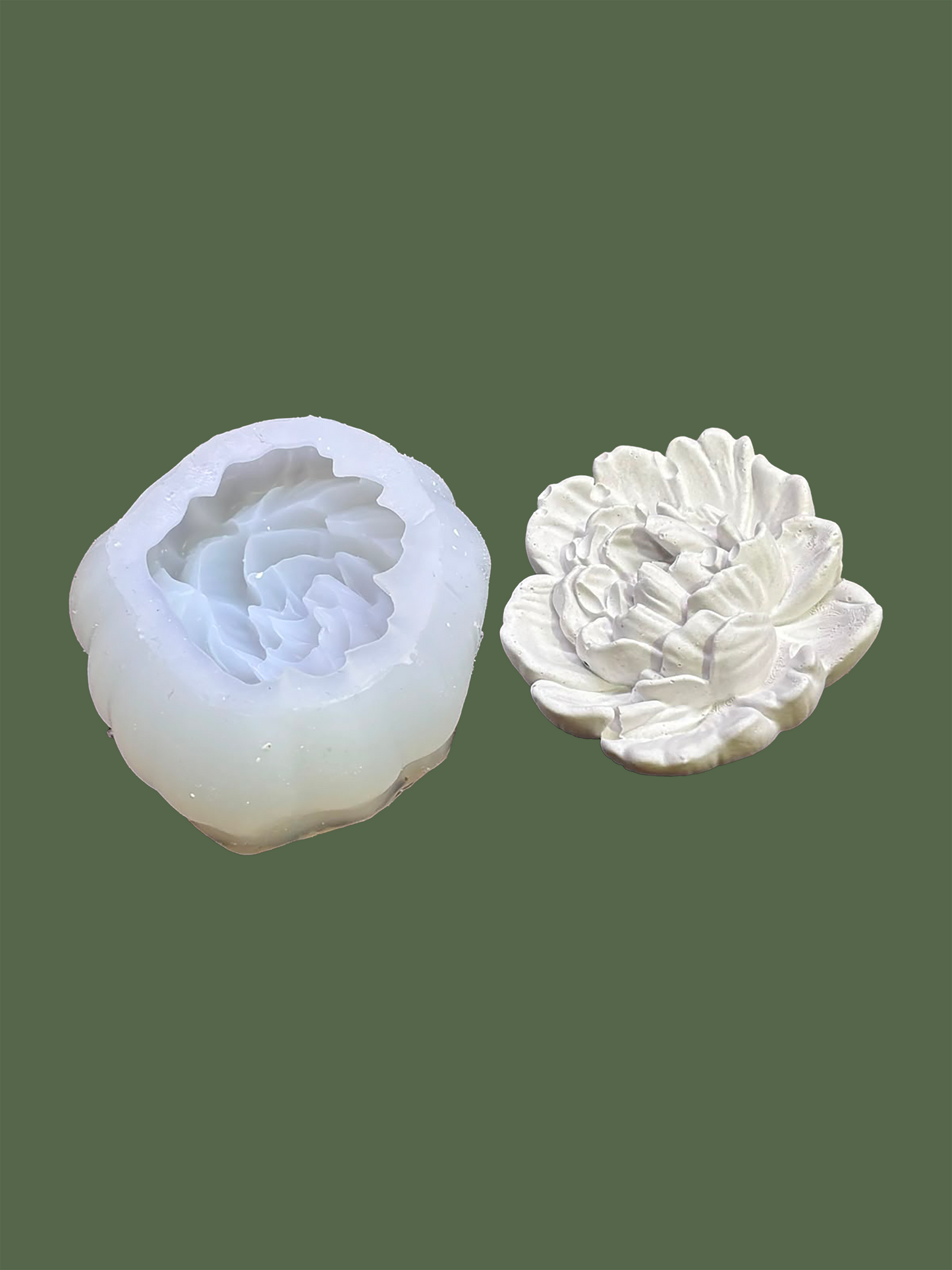 Chrysanthemum Flower