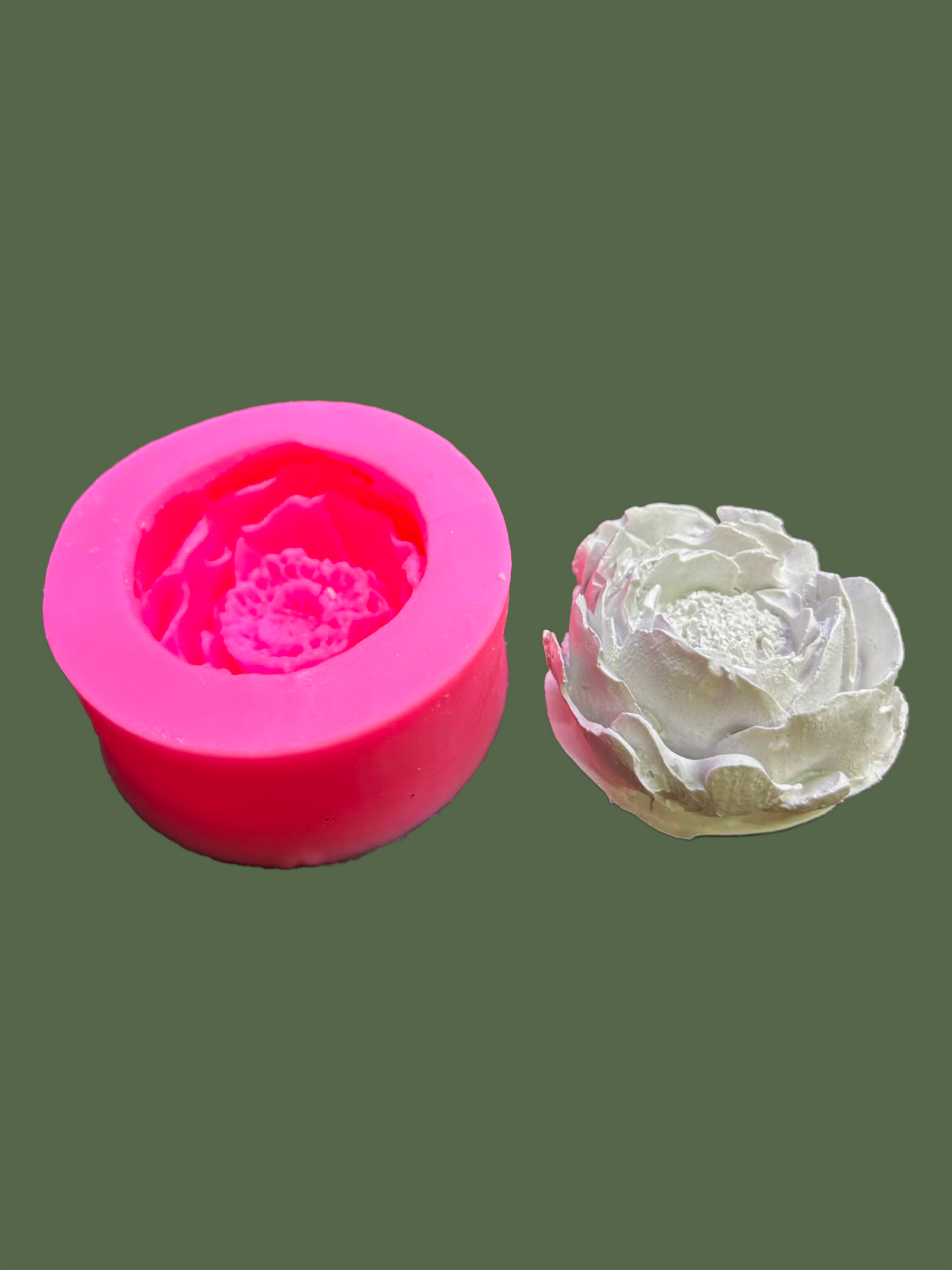 Camelia Flower