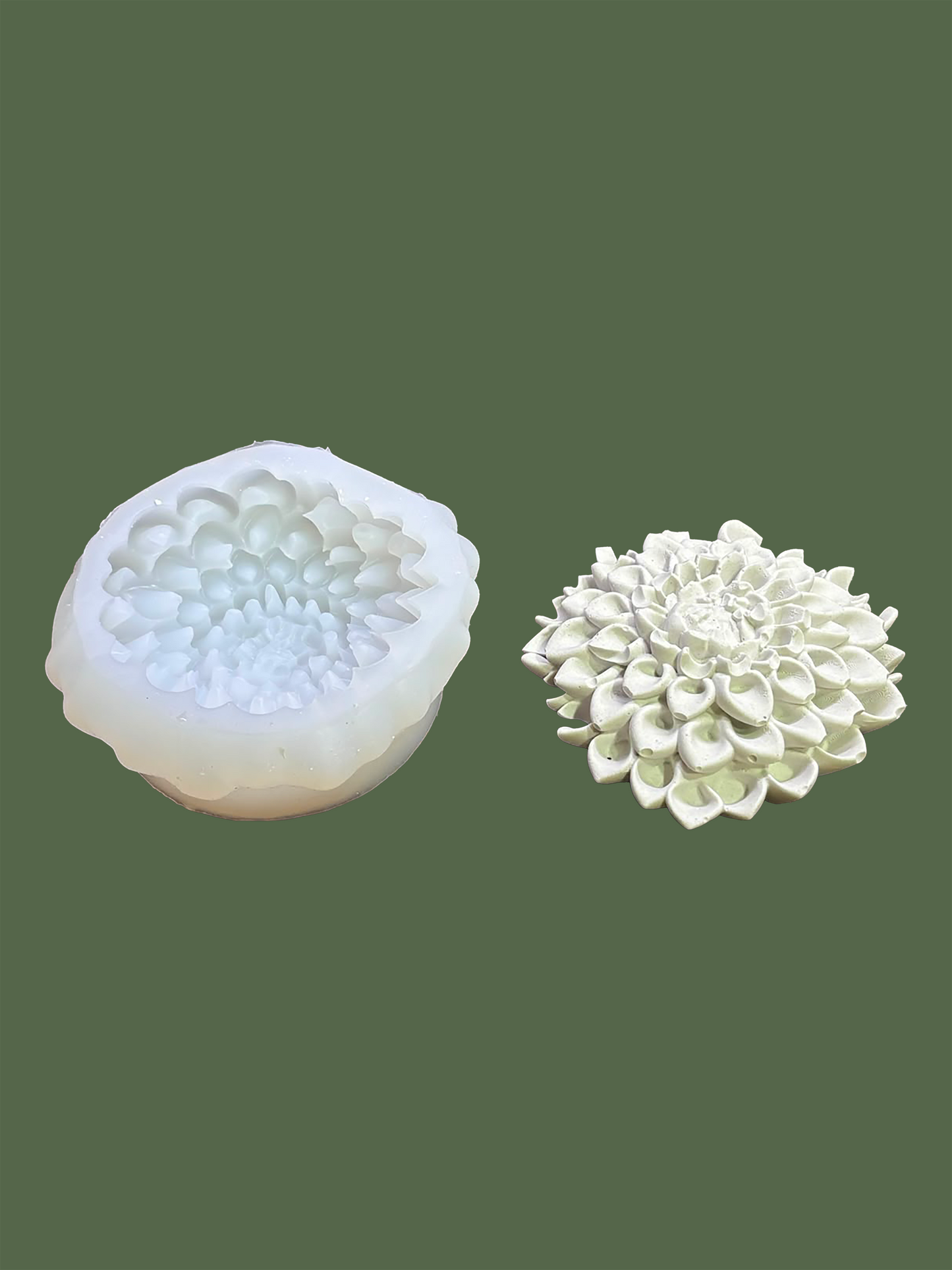 Dahlia Flower