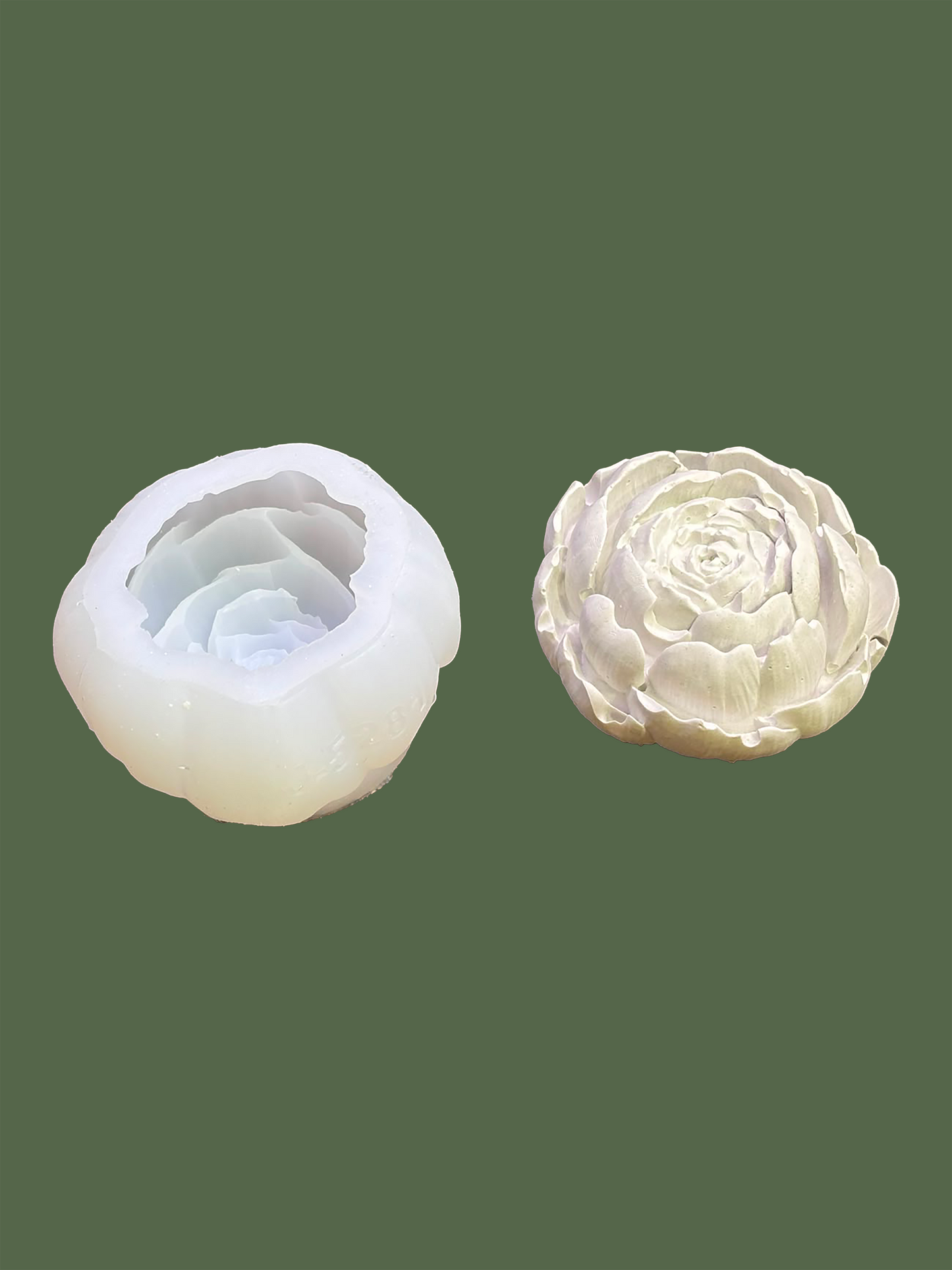Garden Rose Flower