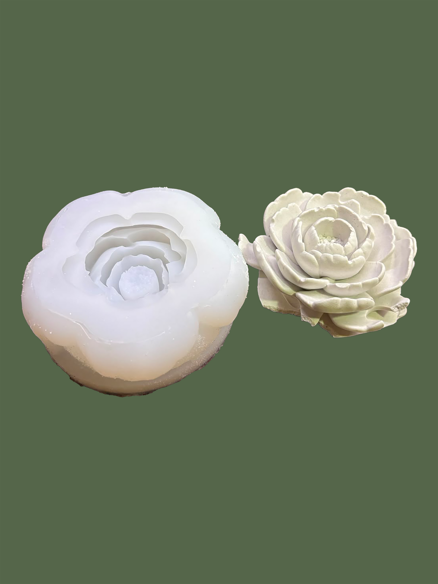 Camelia Large Flower