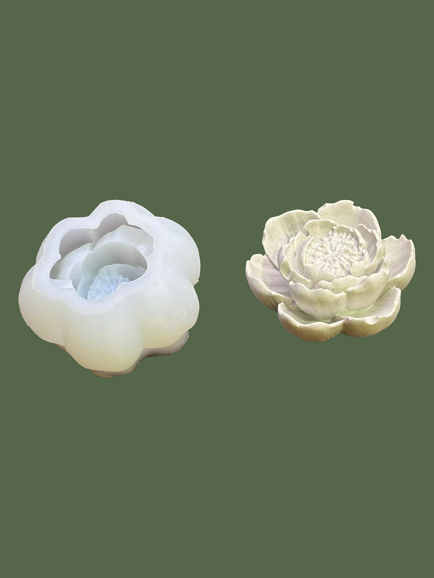 Water Lili Flower