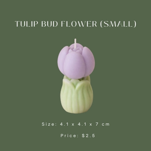 Tulip Bud Flower (Small)