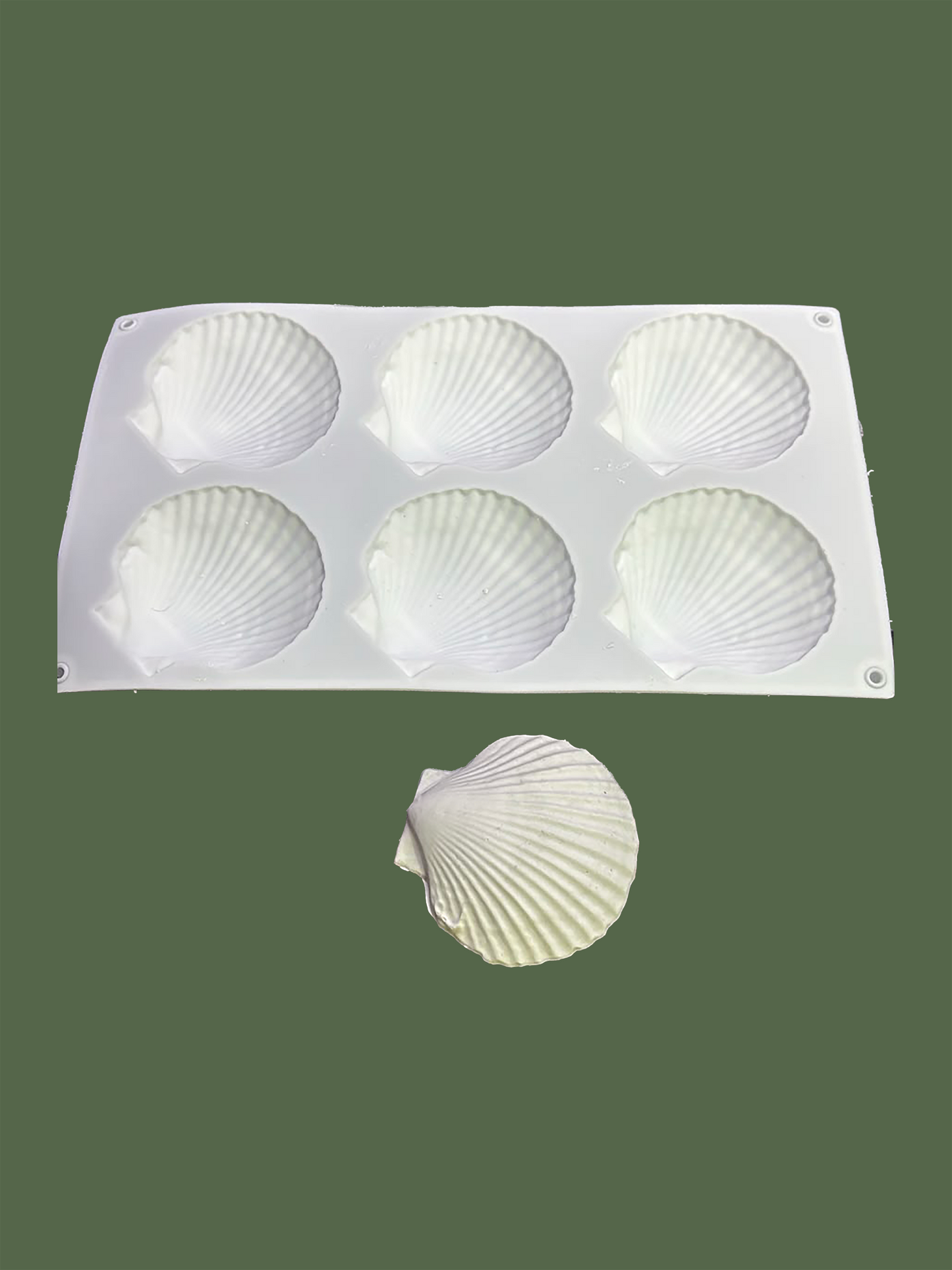 Open Clam Shell 6 Cavities