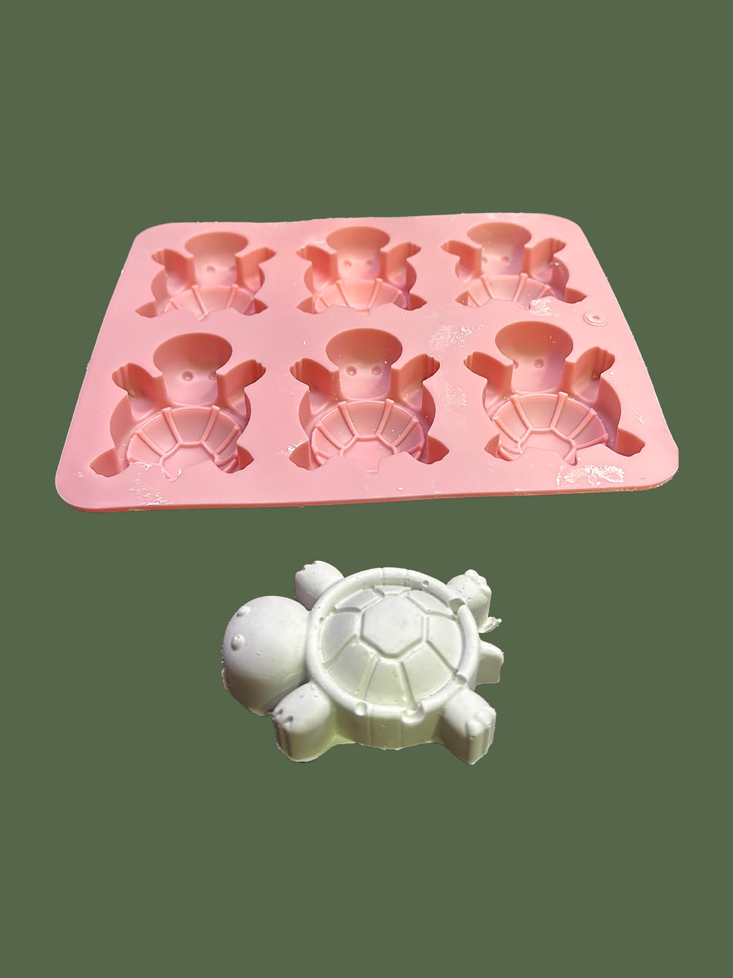 Turtle 6 Cavities