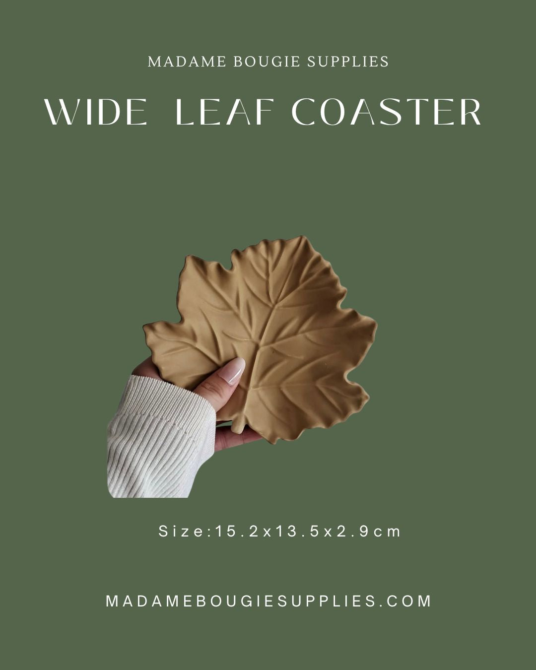 Wide Leaf Coaster