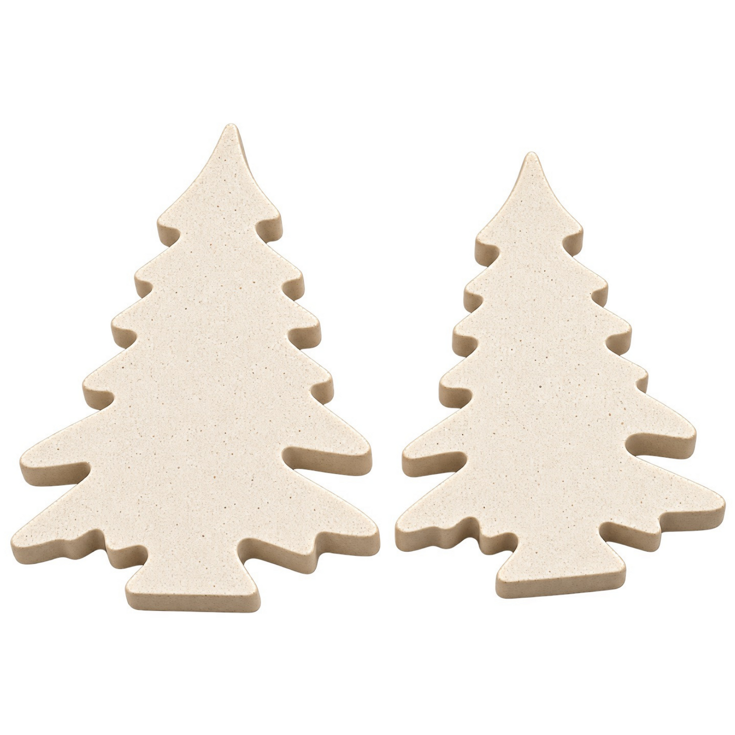 Cedar Tree