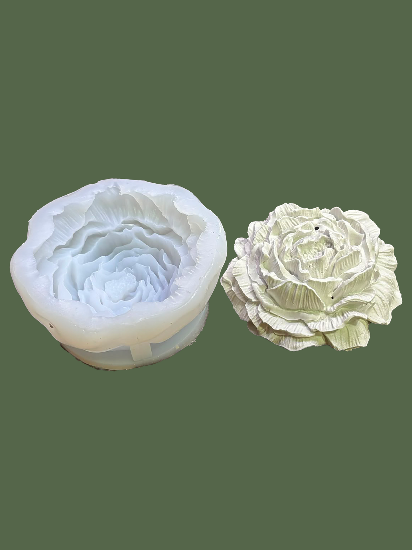 Peony Flower