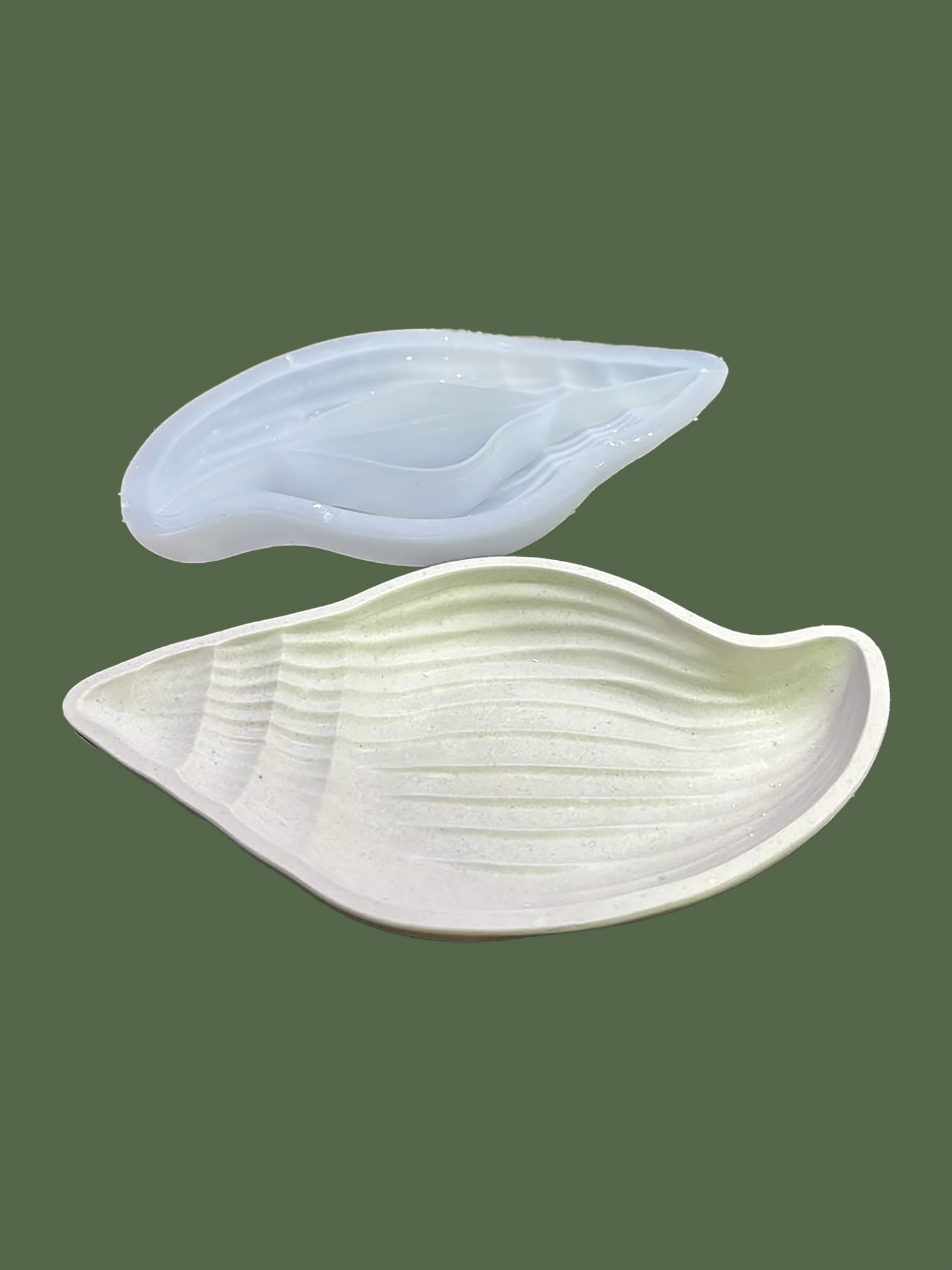 Large Flat Shell