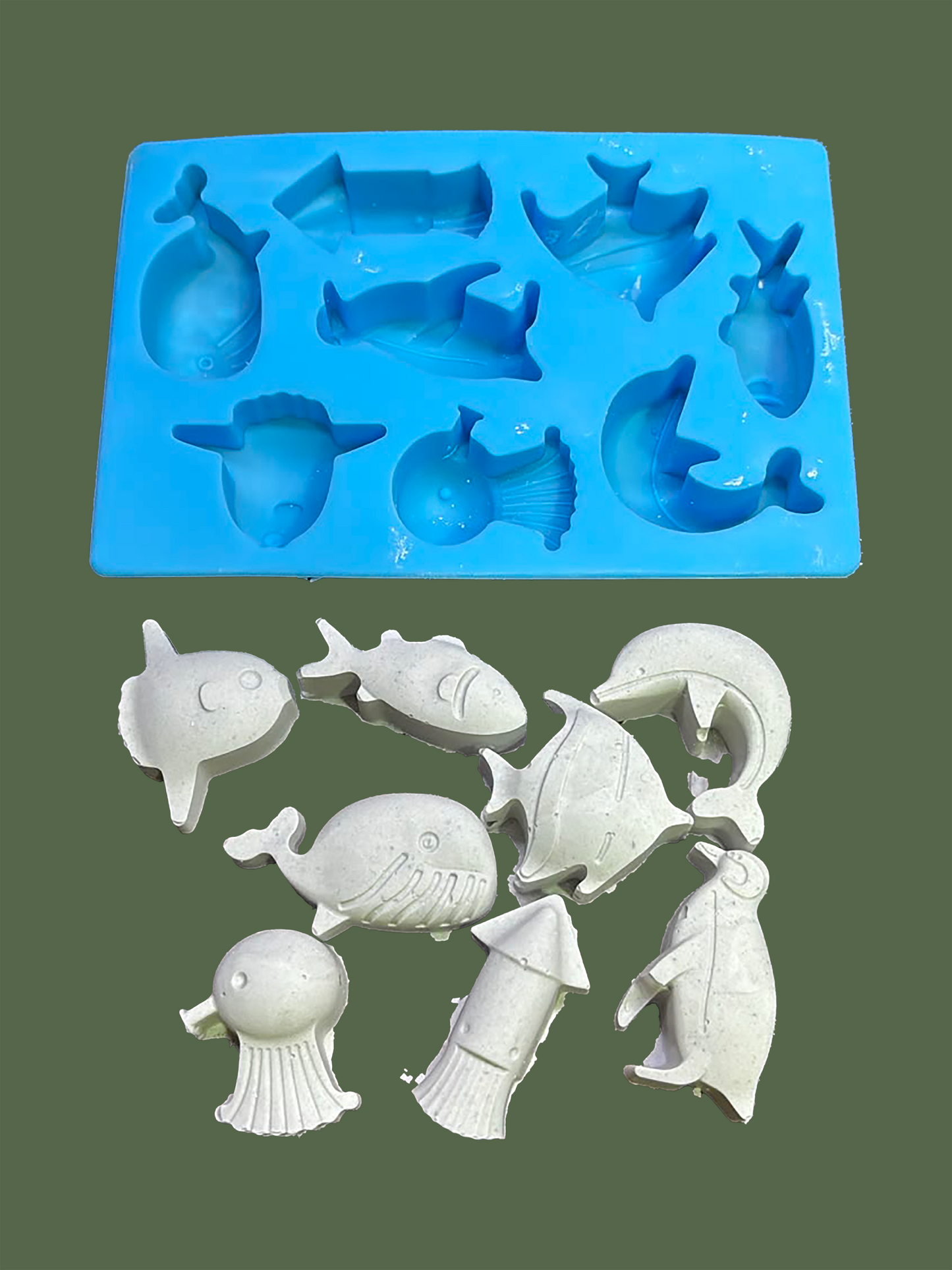Sea Animals