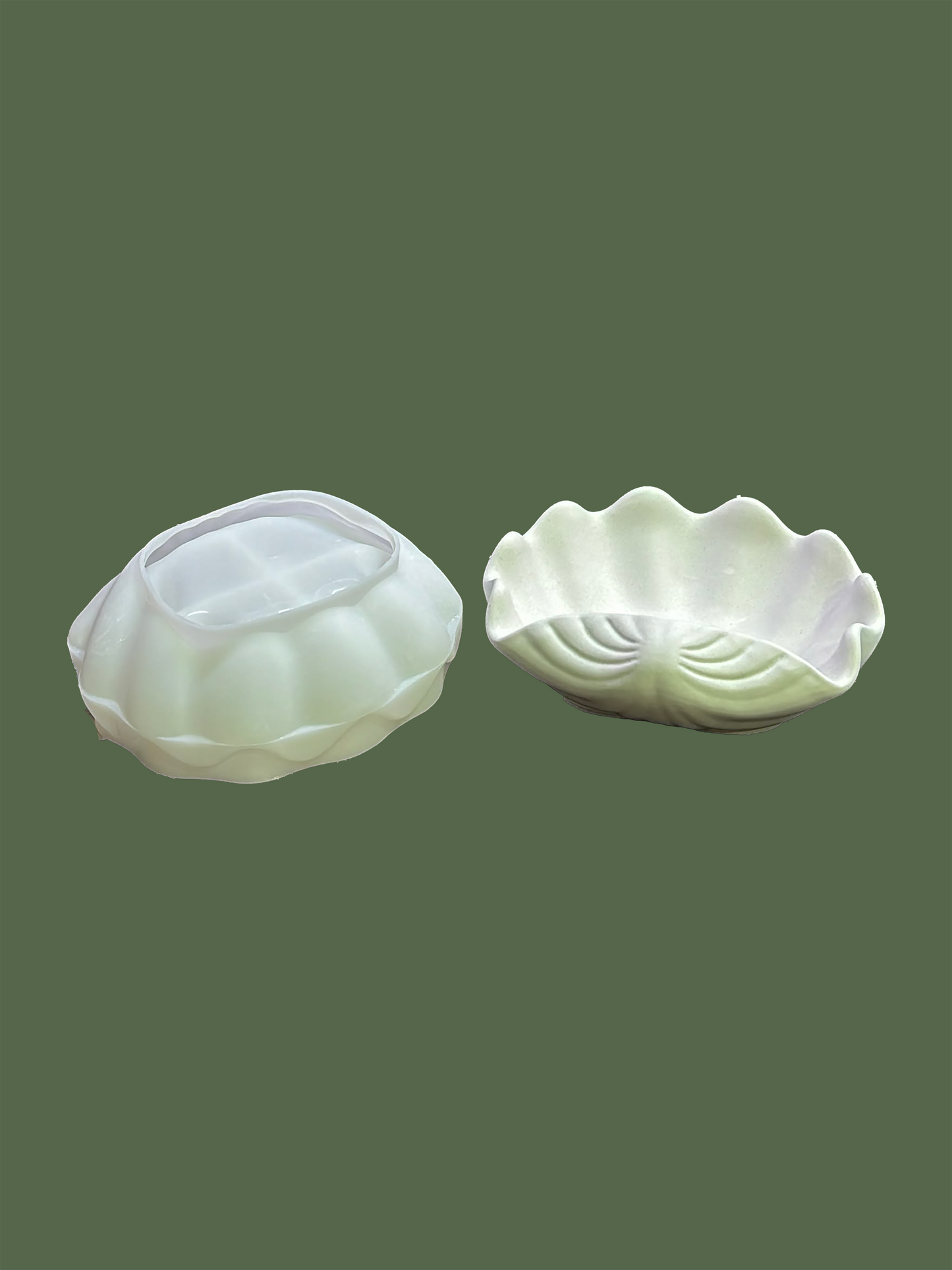 Large Shell Pot