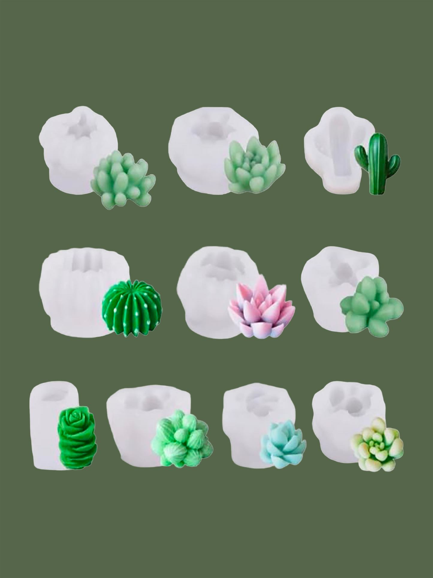 Cacti Set