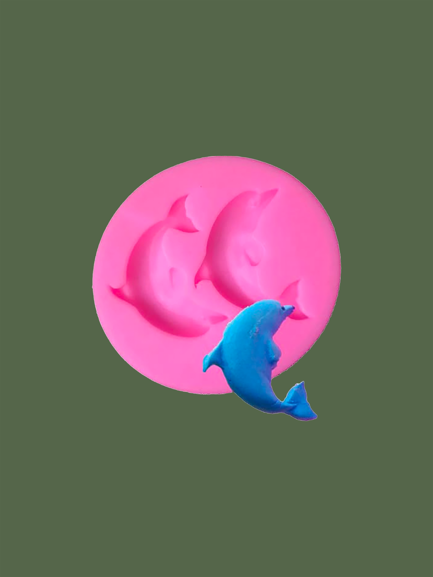 Dolphin