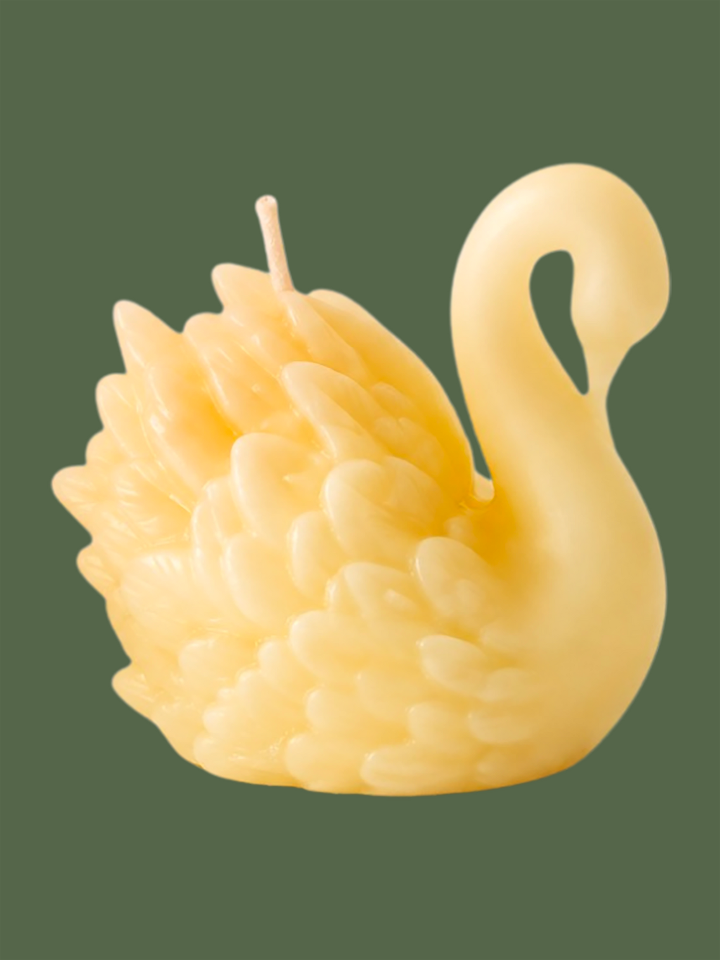 Swan