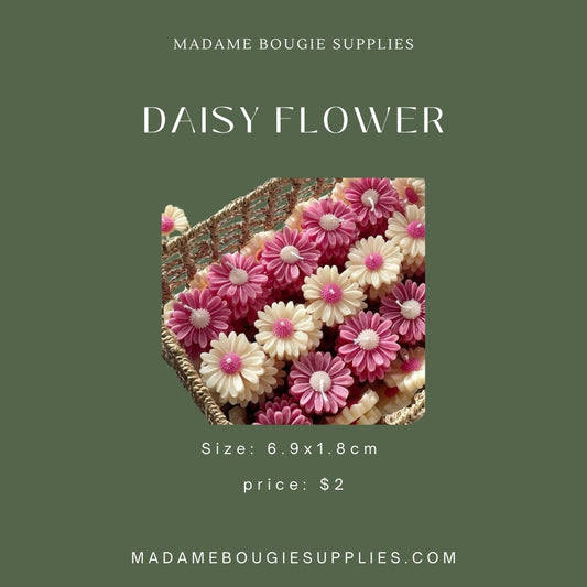 Daisy Flower