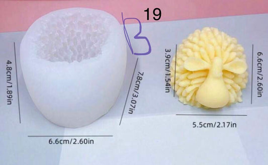 B19